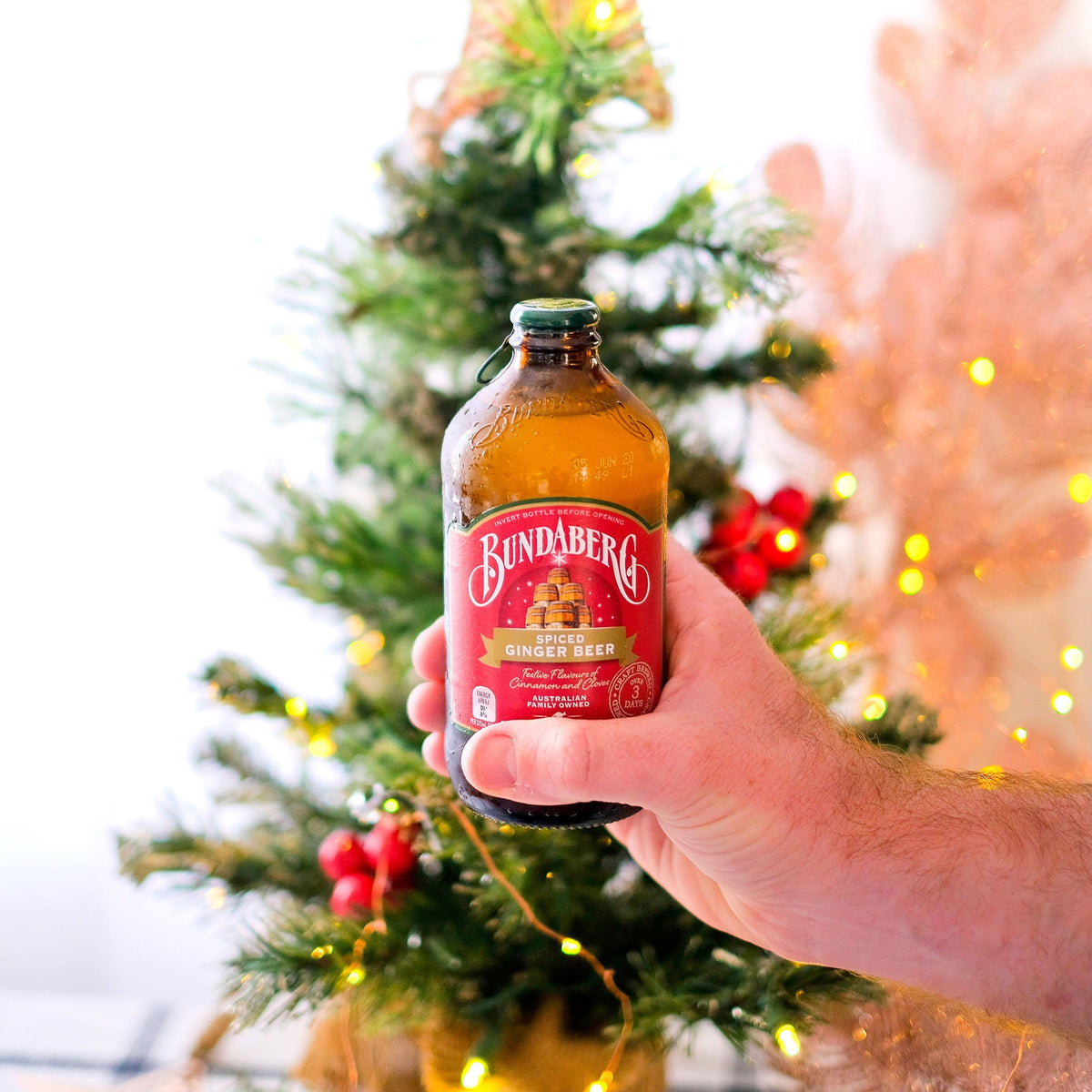 Spiced Ginger Beer 375mL x 10