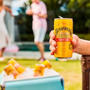 Ginger Beer Mini Cans 200mL x 24