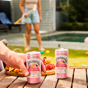 Pink Grapefruit Mini Cans 200mL x 24