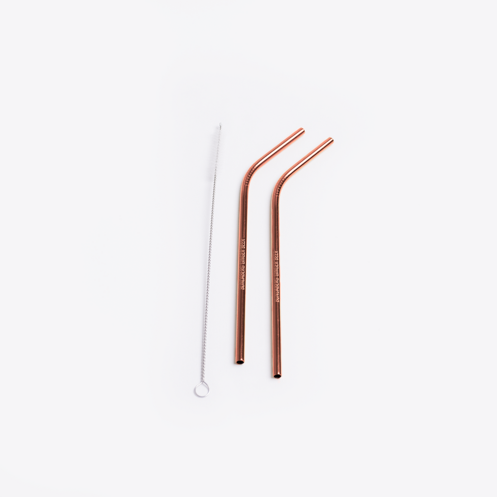
            
                Load image into Gallery viewer, Reusable Straw Set in Copper
            
        
